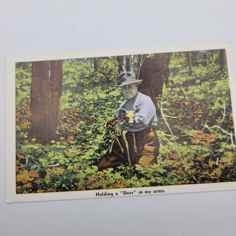 Vintage Holding a Deer in my arms Postcard EC Kropp Milwaukee Wis 18134-W145